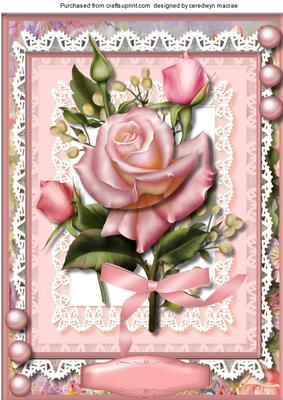 A4 Beautiful Pink Roses and Babys Breath