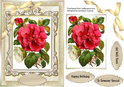 Beautiful Flowers in a Ornate Frame