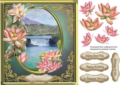 Beautiful Lotus Flowers at the Waterfalls