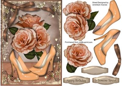 Lovely Roses and Apricot Shoes 