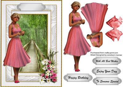 The Girl in the Gingham Dress 