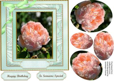 Lovely Pyramaid Roses 