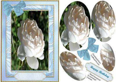 Beautiful White Roses ( Pyramid )