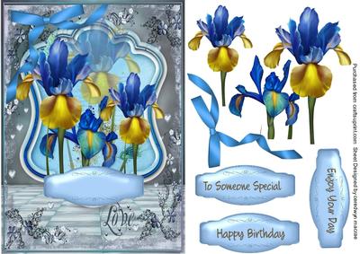 Beautiful Irises in Ornate Frame 