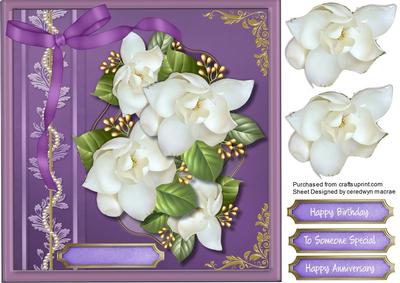 Lovely White Magnolias in Deep Lavender Frame