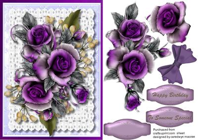 Lovely Deep Violet Roses on Dragonsfly Lace 