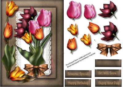 Lovely Tulips on Butterfly Lace .