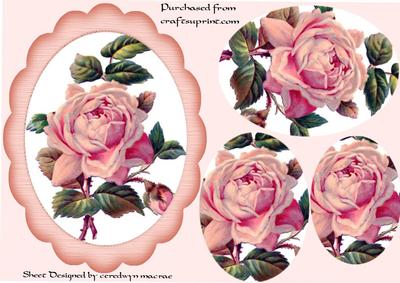 Beautiful Pink Roses in a Ornate Frame ( Pyramid )