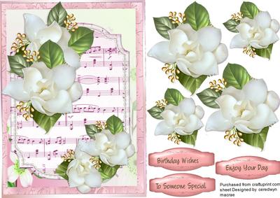 White Maog Nolias on Sheet Music 