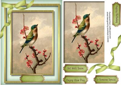 Lovely Finch on a Blossom Branch 