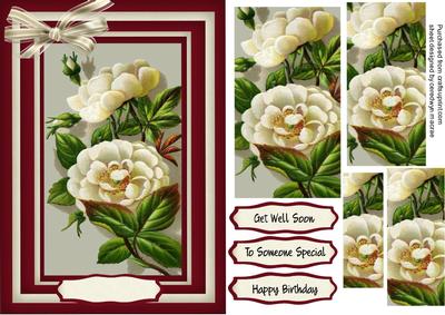 Beautiful White Flowers on a Wine Background