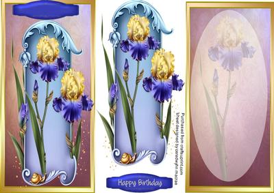 D,l Lovely Blue and Yellow Irises with Incert 