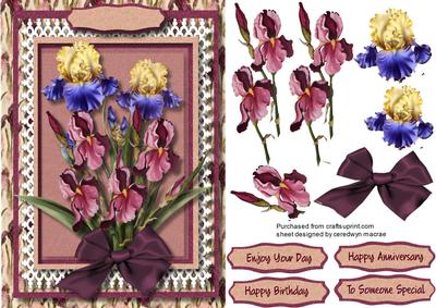 Beautiful Irises on Lace 