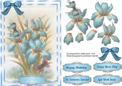 Lovely Blue Irises and Butterflys