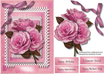 Lovely Pink Roses in a Double Lace Frame