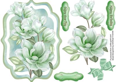 Lovely Brackey with Soft Green Magnolias 