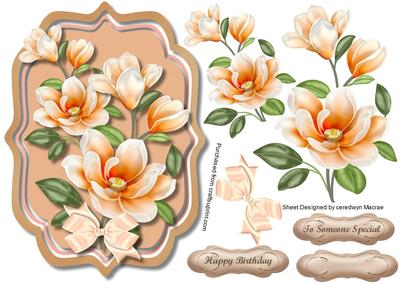 Lovely Bracket with Apricote Magnolias