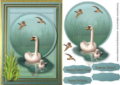 Beautiful Swan and Mallard Ducks 