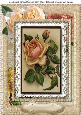 A4 Lovely Vintage Cream Roses and Lace 
