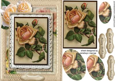 A5 Beautiful Vintage Cream Roses on Lace Topper and Pyramid