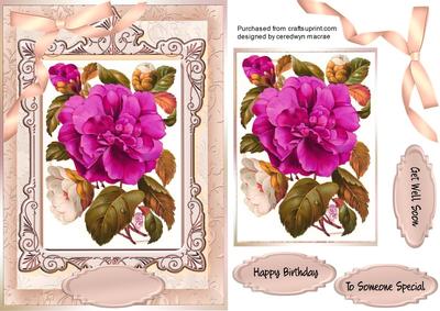 Lovely Cerise Rose in a Ornate Frame 