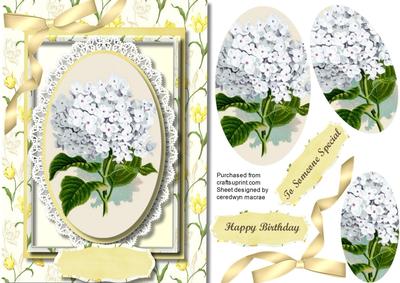 Lovely White Hydranger on a Floral Frame ( Pyramid )