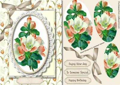 Lovely Peach Roses in a Floral Frame 