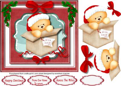 Lovely Christmas Ted in a Box 