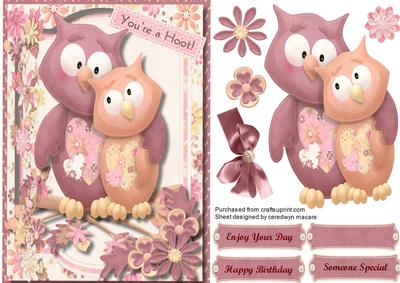 You're a Hoot  -  Have a Hooting Birthday 