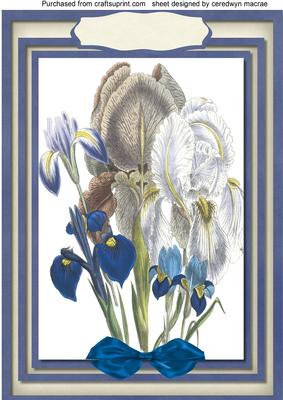 A4 Blue and White Irises 