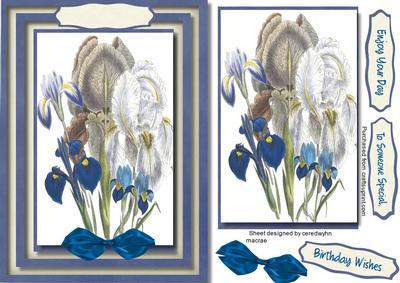 A5 Lovely White and Blue Irises 