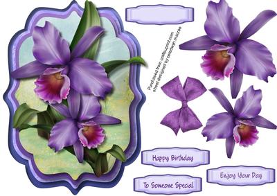 Stunning Lilac Orchids in a Bracket Frame 