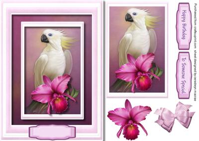 Beautiful White Parrot and Orchids