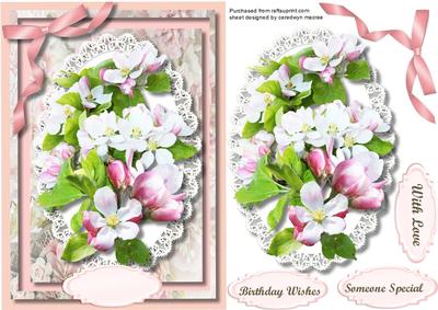 Beautiful Apple Blossom on Butterfly Lace 