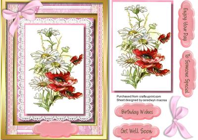 Beautiful Daisy's and Poppy's on Lace 