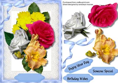 Beautiful Roses on White Lace 