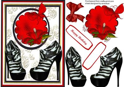 Lovely Zebra Shoes and Hibiscus Flower.