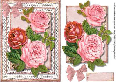 Beautiful Roses on Double Lace Frame