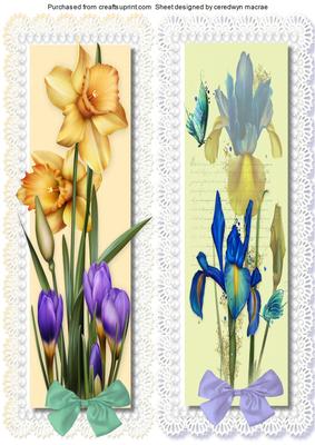 Large D.l. with Irises and Daffodills 