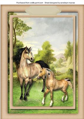 A4, Beautiful Mother and Foal in the Field 