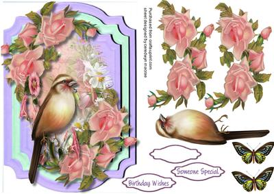 Lovely Bird Among the Roses 