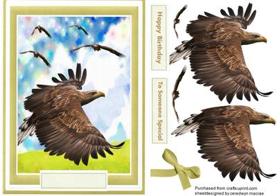 The Flight of the Eagles