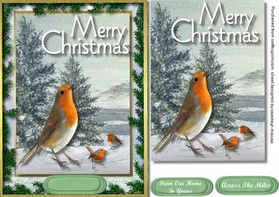 Lovely Traditional Robins in the Snow 