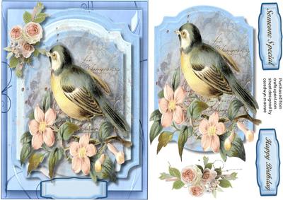 Birdsong in the Morning 