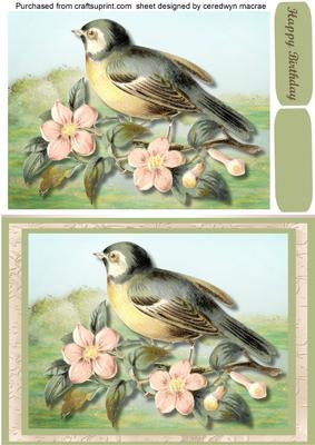 Lovely Bird in the Blossom