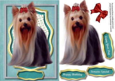 Beautiful Longhaired Yorkshire Terrier
