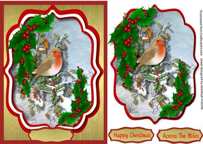 Lovely Christmas Robin and Holly 