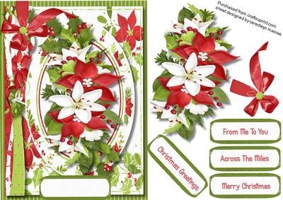 Lovely Christmas Poinsettia in a Oval Frame 