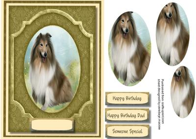 Beautiful Rough Collie Sitting Proud 