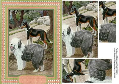 Beautiful Old English Sheep Dog and Smooth Collie 